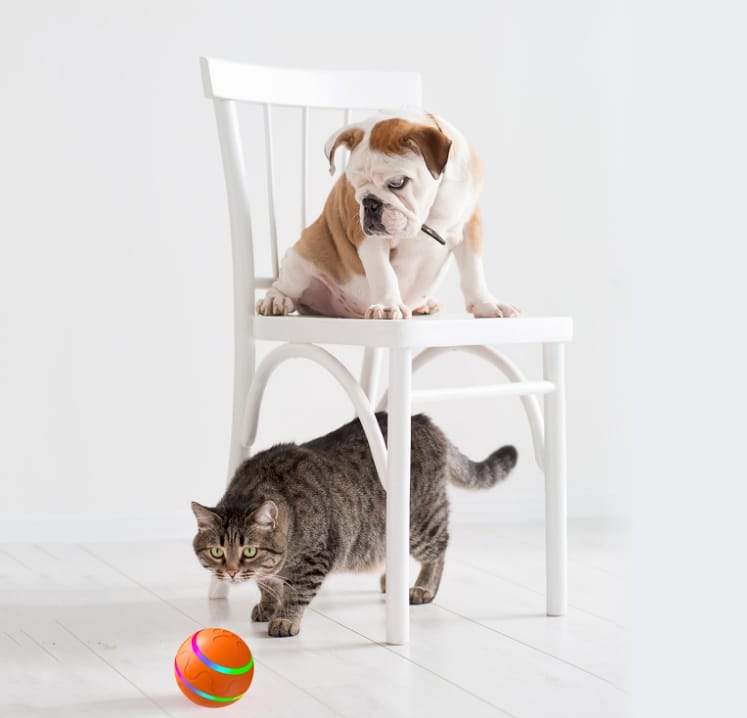 8c26c57c-3ba5-49b3-84b4-e75bd7b79f30.jpg Pet New Cat Wicked Ball Toy Intelligent Ball USB Cat Toys Self Rotating Ball Automatic Rotation Ball - Image 5